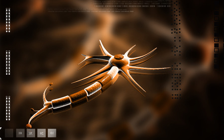 Digital illustration of  neuron  in colour  backgroundの写真素材