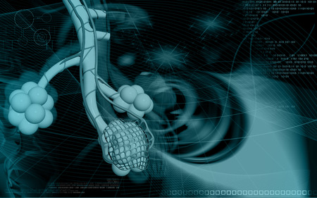 Digital illustration of  alveoli  in  colour  backgroundの写真素材