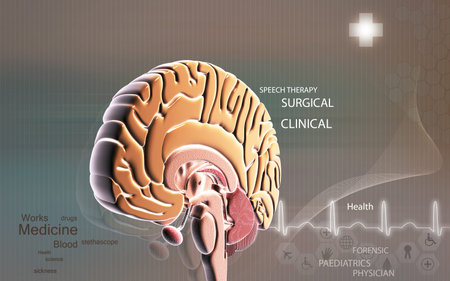 Digital illustration of  brain in colour  background