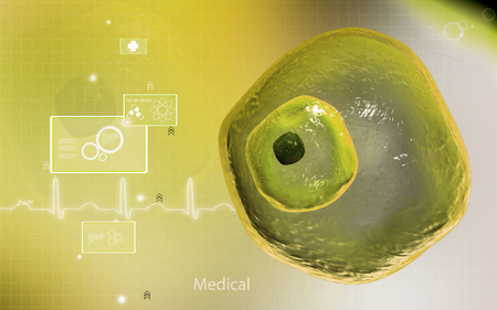 Digital illustration of  ovum cell in colour  backgroundの写真素材