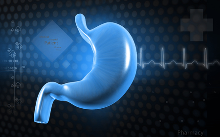 Digital illustration of  stomach  in colour  backgroundの写真素材