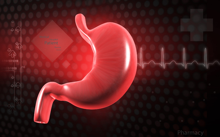 Digital illustration of  stomach  in colour  backgroundの写真素材