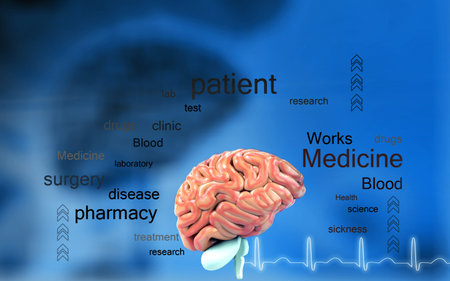 Digital illustration of  brain in colour  background