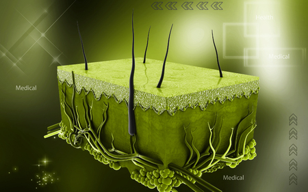 Digital illustration of Skin in colour backgroundの写真素材