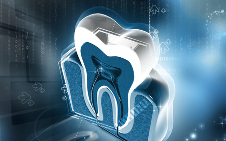 Digital illustration of  teeth cross section   in  colour  backgroundの写真素材
