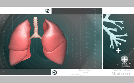 Digital illustration of human lungs in colour backgroundの写真素材