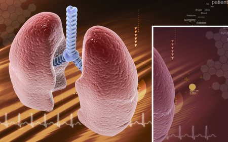 Digital illustration of human lungs in colour backgroundの写真素材