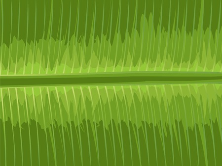 illustration of close up of banana leafのイラスト素材