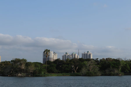 View of the city from the side of the lake. View of the city from the water.