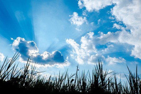 Deep blue skyの写真素材