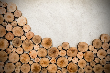 Cross section wood backgroundの写真素材