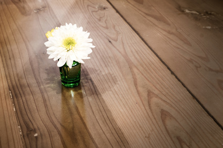 Vase with white chrysanthemumの写真素材