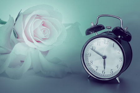 Vintage alarm clock and rose flowerの写真素材