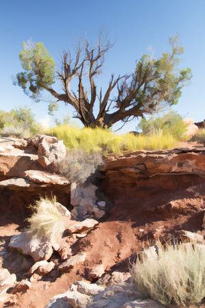 Desert colorの写真素材