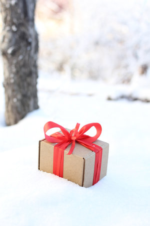 Gift in the snowの写真素材