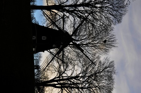 Windmill and treesの写真素材