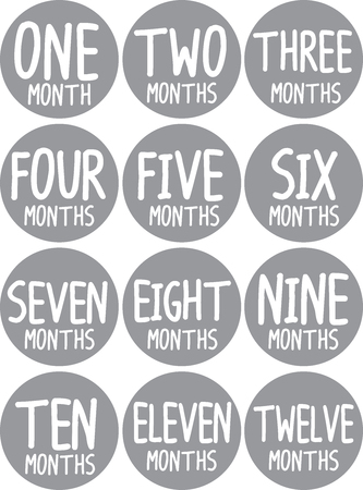 Monthly baby stickers grey setのイラスト素材