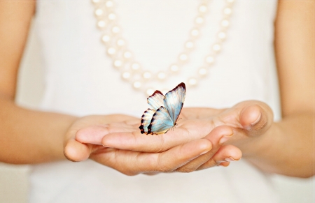 Hands of Young girl holding a butterfulの写真素材