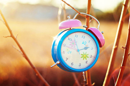 pink and blue clock hanging on tree at sunset