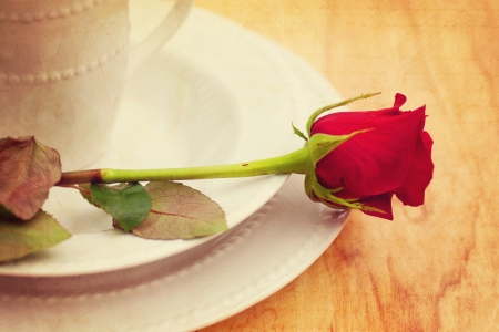 Lovely Dinnerの写真素材