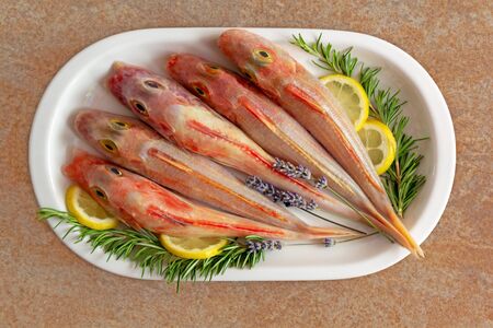 Fresh fish cleaned and prepared for cooking with sprigs of lavender, rosemary and lemon slices on a white plate on a textured stone background. A newly caught sea cock. Food photoの写真素材