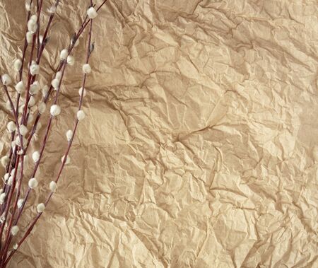 willow branches on craft background with copy spaceの写真素材