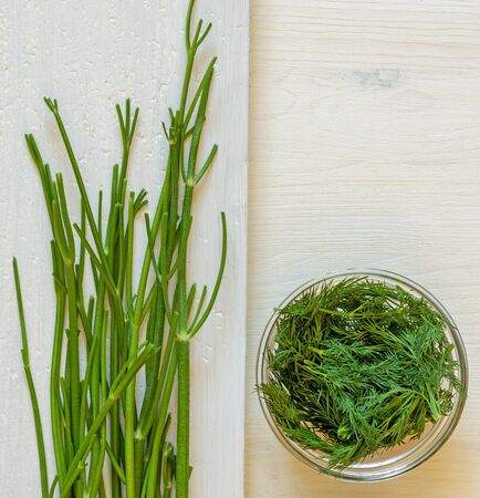 Dill greens in a glass bowl and dill stalks on a white board prepared for future useの写真素材