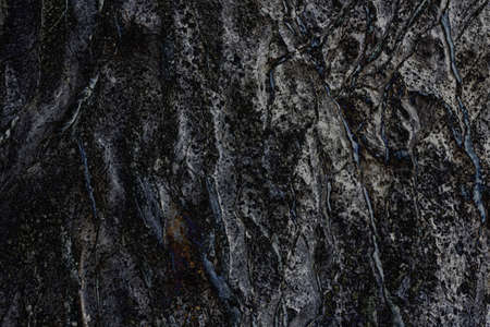 The black texture of natural stone, rock.の写真素材