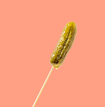 Delicious whole pickle with marinade droplets on a stick on a pink background. The concept of tasty fermented foods. Canned food. Pickled cucumber is an appetizer for vodka. Food photosの写真素材