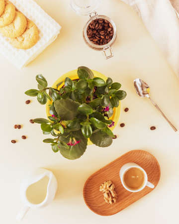 Morning composition with a kalanchoe flower, a cup of coffee, cookies and coffee beans. Healthy breakfast with a houseplant and a cup of freshly espresso. Plant parent concept, relaxing at homeの写真素材