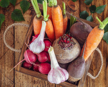 Wooden box full of fresh, farm organic vegetables: carrots, beets, radishes and garlic from the local market on a wooden table. Selling seasonal vegetables at the local market. Flat layの写真素材