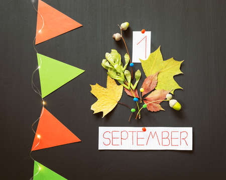 Autumn bouquet, inspiration first september, paper flags and a light garland on a chalkboardの写真素材