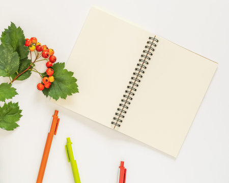 Autumn, school composition with an open notebook with white sheets of paper, hawthorn twigs with...