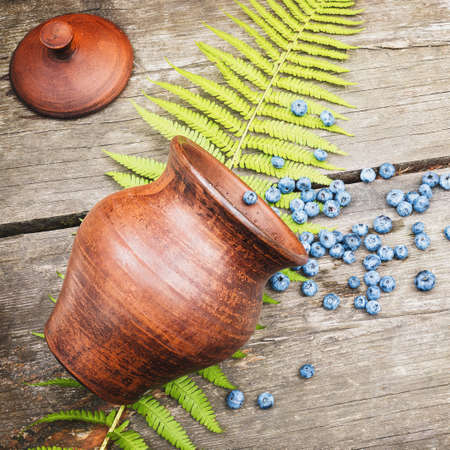 Climate friendly eating. Eco friendly, food, summer composition with a clay pot, scattered, organic, wild blueberries and fern leave on a wooden table. Mindful eatingの写真素材