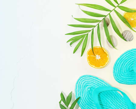 Summer holidays composition with flip-flop, palm leaves and citrus fruitsの写真素材