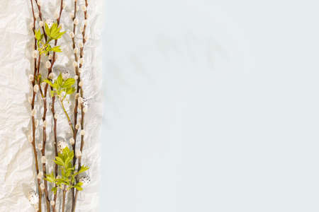 Willow twigs, green leaves and eggs on a blue backgroundの写真素材