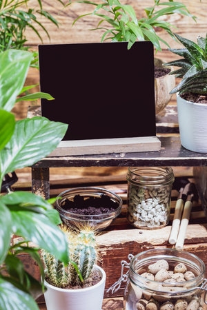 Eco friendly composition with house plants, drainage, garden tools and chalk board on a wooden background with place for text. Hobbies growing home plants and gardening apartments. Home plants growingの写真素材