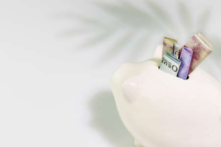 White piggy bank with banknotes of different countries on a blue background with palm shadow and copy space. Savings and investment concept. soft focusの写真素材