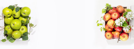 Fruits banner wwith natural apples in a white wooden boxesの写真素材