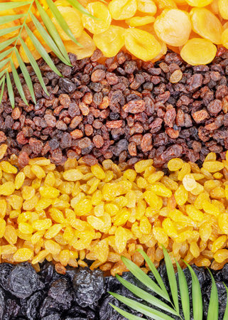 Dry fruits assortment with palm leaves. Rows of scattered dried apricots, brown raisins, golden raisins and prunes. Healthy snack - mix of organic dry fruits. Vegan and vegetarian products. Flat layの写真素材