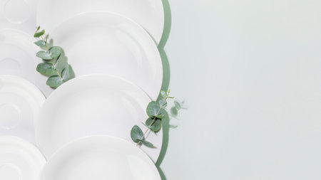 Clean, empty white dishes with eucalyptus twigs on blue background with copy space. Eco friendly washing dishes and cleaning. Dishes, porcelain background. Flat layの写真素材