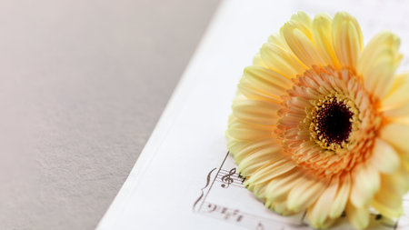 Gerbera on music notebook on dark grey marble background with copy spaceの写真素材