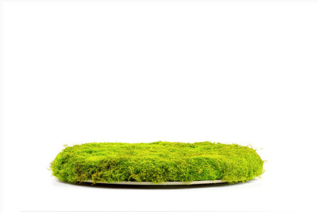 Moss spring empty round podium on white background with empty space for montage your products. Scene stage showcase for organic beauty spa products, natural cosmetics, promotion sale or advertisingの素材