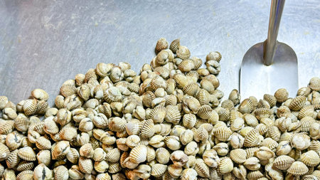 Seafood. Fresh, unshelled cockles, a popular choice for savory street food. Raw, uncooked state of...