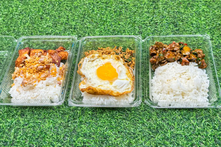 Takeaway containers showcase popular street food meals with rice, each topped with different options, crispy pork, egg, and savory beef, highlighting convenience and variety in urban eatingの写真素材