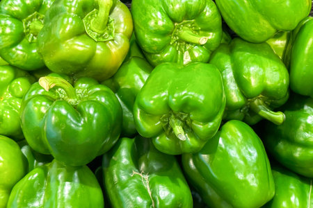 Vegetable background of freshly harvested, natural, farmed, green bell peppers with beautiful color....