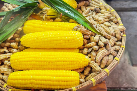 Wicker basket with corn cobs and raw peanutsの写真素材