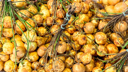 Freshly harvested longans, embodying rustic, organic aesthetics. Eco-friendly tropical fruits, rich...