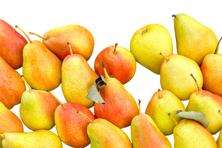 Fresh organic pears in vibrant shades of yellow and red on white background. Concept of sustainable agriculture, healthy eating, and farm-to-table produceの写真素材