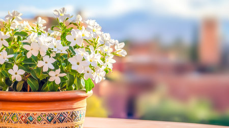 White flowers in decorative terracotta pot placed on sunlit terrace, with blurred scenic view of Mediterranean-style town in background. Evokes travel, tourism, vacations and summer vibes. Copy spaceの素材